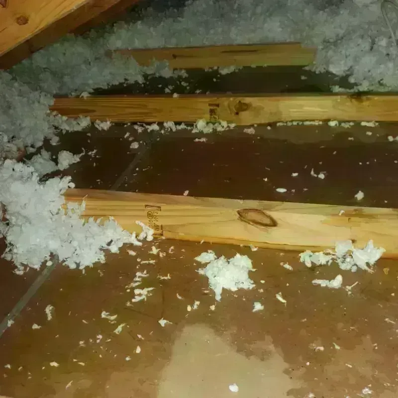 Attic Water Damage in Miamitown, OH