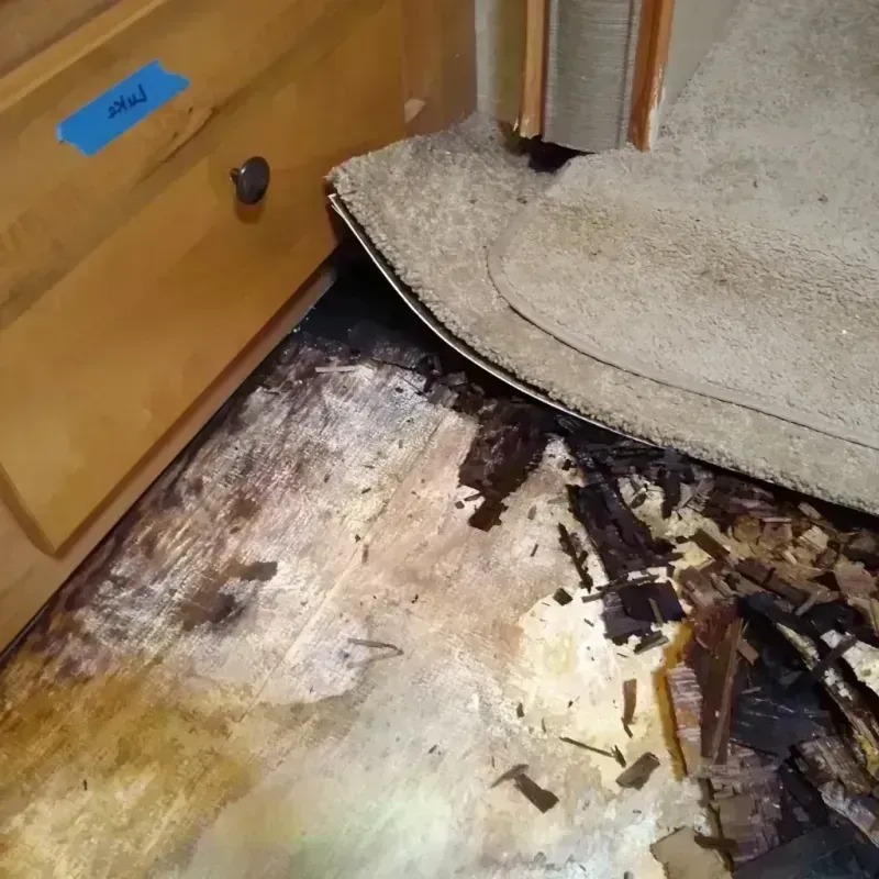 Wood Floor Water Damage in Miamitown, OH